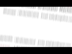 خط تولید کود ارگانیک، ماشین دانه دار کود ارگانیک